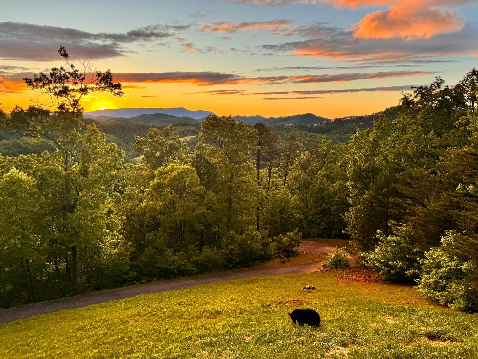 Smoky Best - Glowing Twilight Pigeon Forge Esterno foto